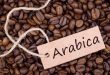 قهوه عربیکا ، انتخاب خاص پسندان!