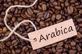 قهوه عربیکا ، انتخاب خاص پسندان!
